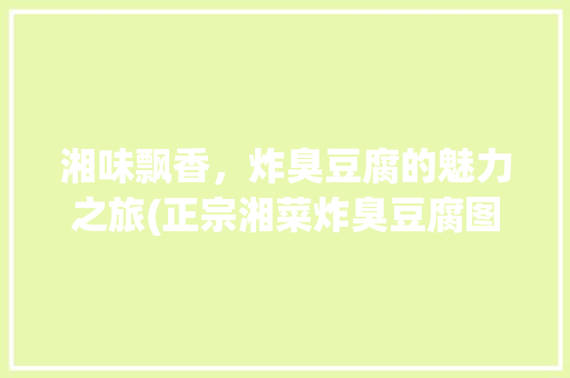 湘味飘香，炸臭豆腐的魅力之旅(正宗湘菜炸臭豆腐图片) 湘味飘香，炸臭豆腐的魅力之旅(正宗湘菜炸臭豆腐图片) 饮食拾萃