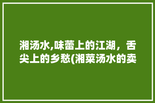 湘汤水,味蕾上的江湖，舌尖上的乡愁(湘菜汤水的卖点是) 湘汤水,味蕾上的江湖，舌尖上的乡愁(湘菜汤水的卖点是) 饮食拾萃