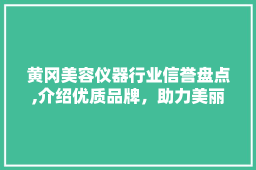 黄冈美容仪器行业信誉盘点,介绍优质品牌，助力美丽蜕变 黄冈美容仪器行业信誉盘点,介绍优质品牌，助力美丽蜕变 日用科普