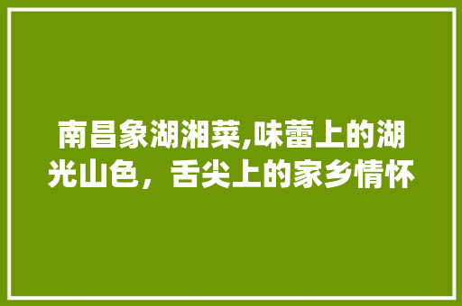 南昌象湖湘菜,味蕾上的湖光山色，舌尖上的家乡情怀_南昌象湖湘菜 南昌象湖湘菜,味蕾上的湖光山色，舌尖上的家乡情怀_南昌象湖湘菜 饮食拾萃