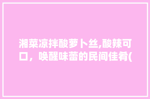 湘菜凉拌酸萝卜丝,酸辣可口，唤醒味蕾的民间佳肴(湘菜凉拌酸萝卜丝) 湘菜凉拌酸萝卜丝,酸辣可口，唤醒味蕾的民间佳肴(湘菜凉拌酸萝卜丝) 饮食拾萃