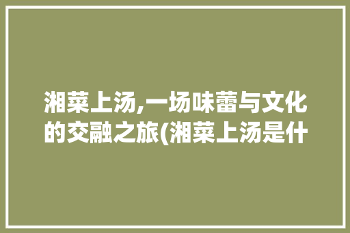 湘菜上汤,一场味蕾与文化的交融之旅(湘菜上汤是什么意思) 湘菜上汤,一场味蕾与文化的交融之旅(湘菜上汤是什么意思) 饮食拾萃