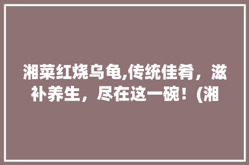 湘菜红烧乌龟,传统佳肴，滋补养生，尽在这一碗！(湘菜红烧乌龟图片大全做法) 湘菜红烧乌龟,传统佳肴，滋补养生，尽在这一碗！(湘菜红烧乌龟图片大全做法) 饮食拾萃