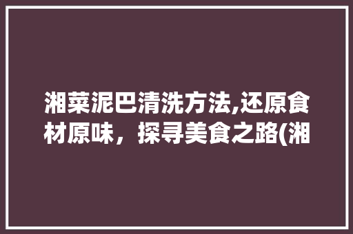 湘菜泥巴清洗方法,还原食材原味，探寻美食之路(湘菜泥巴怎么清洗干净窍门) 湘菜泥巴清洗方法,还原食材原味，探寻美食之路(湘菜泥巴怎么清洗干净窍门) 饮食拾萃