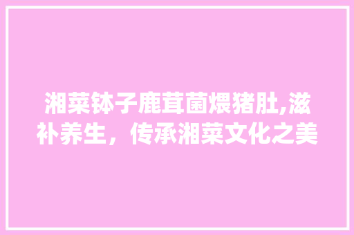 湘菜钵子鹿茸菌煨猪肚,滋补养生，传承湘菜文化之美(湘菜钵子鹿茸菌煨猪肚) 湘菜钵子鹿茸菌煨猪肚,滋补养生，传承湘菜文化之美(湘菜钵子鹿茸菌煨猪肚) 饮食拾萃