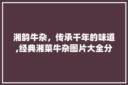 湘韵牛杂，传承千年的味道,经典湘菜牛杂图片大全分析(经典湘菜牛杂图片大全) 湘韵牛杂，传承千年的味道,经典湘菜牛杂图片大全分析(经典湘菜牛杂图片大全) 饮食拾萃