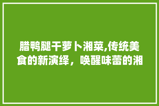 腊鸭腿干萝卜湘菜,传统美食的新演绎，唤醒味蕾的湘韵飘香(腊鸭腿干萝卜 湘菜做法) 腊鸭腿干萝卜湘菜,传统美食的新演绎，唤醒味蕾的湘韵飘香(腊鸭腿干萝卜 湘菜做法) 饮食拾萃