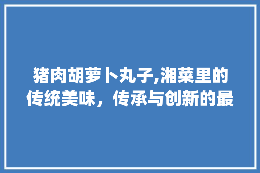 猪肉胡萝卜丸子,湘菜里的传统美味，传承与创新的最佳典范(猪肉胡萝卜丸子湘菜做法) 猪肉胡萝卜丸子,湘菜里的传统美味，传承与创新的最佳典范(猪肉胡萝卜丸子湘菜做法) 饮食拾萃