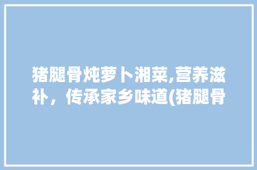 猪腿骨炖萝卜湘菜,营养滋补，传承家乡味道(猪腿骨炖萝卜湘菜) 猪腿骨炖萝卜湘菜,营养滋补，传承家乡味道(猪腿骨炖萝卜湘菜) 饮食拾萃