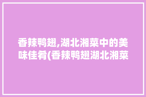 香辣鸭翅,湖北湘菜中的美味佳肴(香辣鸭翅湖北湘菜) 香辣鸭翅,湖北湘菜中的美味佳肴(香辣鸭翅湖北湘菜) 饮食拾萃