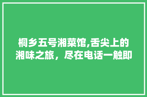 桐乡五号湘菜馆,舌尖上的湘味之旅，尽在电话一触即达_桐乡五号湘菜馆电话 桐乡五号湘菜馆,舌尖上的湘味之旅，尽在电话一触即达_桐乡五号湘菜馆电话 饮食拾萃