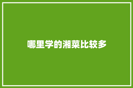哪里学的湘菜比较多 哪里学的湘菜比较多 饮食拾萃