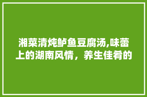 湘菜清炖鲈鱼豆腐汤,味蕾上的湖南风情，养生佳肴的典范_湘菜清炖鲈鱼豆腐汤图片 湘菜清炖鲈鱼豆腐汤,味蕾上的湖南风情，养生佳肴的典范_湘菜清炖鲈鱼豆腐汤图片 饮食拾萃