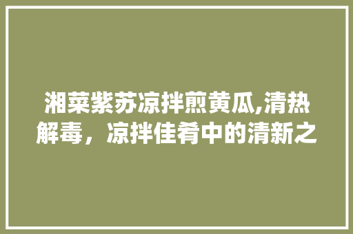 湘菜紫苏凉拌煎黄瓜,清热解毒，凉拌佳肴中的清新之选_紫苏凉拌煎黄瓜的湘菜做法 湘菜紫苏凉拌煎黄瓜,清热解毒，凉拌佳肴中的清新之选_紫苏凉拌煎黄瓜的湘菜做法 饮食拾萃