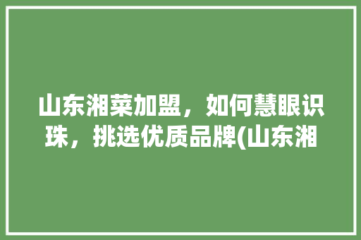 山东湘菜加盟，如何慧眼识珠，挑选优质品牌(山东湘菜加盟怎么选择品牌) 山东湘菜加盟，如何慧眼识珠，挑选优质品牌(山东湘菜加盟怎么选择品牌) 饮食拾萃