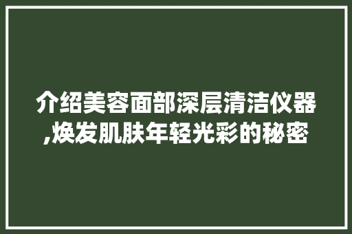 介绍美容面部深层清洁仪器,焕发肌肤年轻光彩的秘密武器_美容面部深层清洁仪器 介绍美容面部深层清洁仪器,焕发肌肤年轻光彩的秘密武器_美容面部深层清洁仪器 养生保健