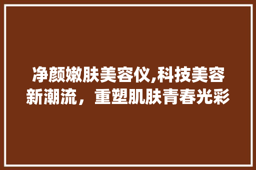 净颜嫩肤美容仪,科技美容新潮流，重塑肌肤青春光彩_净颜嫩肤美容仪美容仪器 净颜嫩肤美容仪,科技美容新潮流，重塑肌肤青春光彩_净颜嫩肤美容仪美容仪器 家居时尚