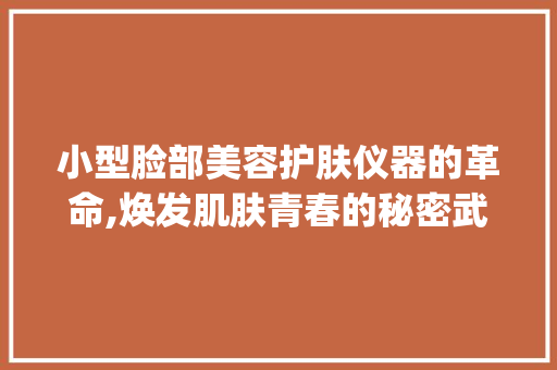 小型脸部美容护肤仪器的革命,焕发肌肤青春的秘密武器_小型脸部美容护肤仪器 小型脸部美容护肤仪器的革命,焕发肌肤青春的秘密武器_小型脸部美容护肤仪器 家居时尚