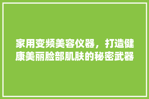 家用变频美容仪器，打造健康美丽脸部肌肤的秘密武器_变频美容仪器家用脸部 家用变频美容仪器，打造健康美丽脸部肌肤的秘密武器_变频美容仪器家用脸部 养生保健