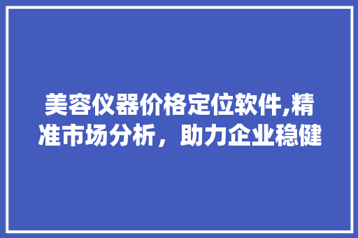 美容仪器价格定位软件,精准市场分析，助力企业稳健发展_美容仪器价格定位软件 美容仪器价格定位软件,精准市场分析，助力企业稳健发展_美容仪器价格定位软件 饮食拾萃