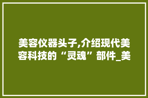 美容仪器头子,介绍现代美容科技的“灵魂”部件_美容仪器头子叫什么 美容仪器头子,介绍现代美容科技的“灵魂”部件_美容仪器头子叫什么 饮食拾萃