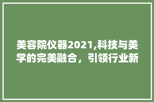 美容院仪器2021,科技与美学的完美融合，引领行业新风尚_美容院仪器2021 美容院仪器2021,科技与美学的完美融合，引领行业新风尚_美容院仪器2021 美容塑身