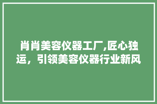 肖肖美容仪器工厂,匠心独运，引领美容仪器行业新风尚_肖肖美容仪器工厂 肖肖美容仪器工厂,匠心独运，引领美容仪器行业新风尚_肖肖美容仪器工厂 美容塑身