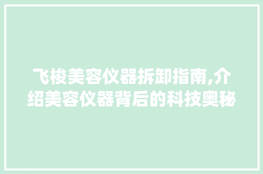 飞梭美容仪器拆卸指南,介绍美容仪器背后的科技奥秘_飞梭美容仪器拆卸 飞梭美容仪器拆卸指南,介绍美容仪器背后的科技奥秘_飞梭美容仪器拆卸 美容塑身