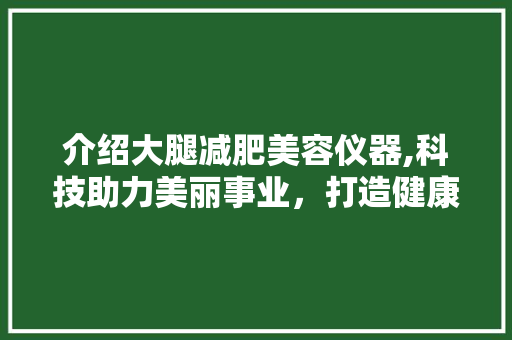 介绍大腿减肥美容仪器,科技助力美丽事业，打造健康曲线 介绍大腿减肥美容仪器,科技助力美丽事业，打造健康曲线 家居时尚