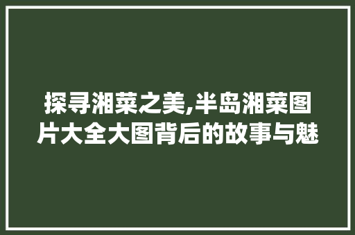 探寻湘菜之美,半岛湘菜图片大全大图背后的故事与魅力(半岛湘菜图片大全大图) 探寻湘菜之美,半岛湘菜图片大全大图背后的故事与魅力(半岛湘菜图片大全大图) 饮食拾萃