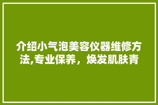 介绍小气泡美容仪器维修方法,专业保养，焕发肌肤青春活力 介绍小气泡美容仪器维修方法,专业保养，焕发肌肤青春活力 美容塑身