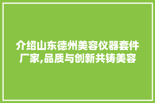 介绍山东德州美容仪器套件厂家,品质与创新共铸美容行业新篇章 介绍山东德州美容仪器套件厂家,品质与创新共铸美容行业新篇章 服饰装扮