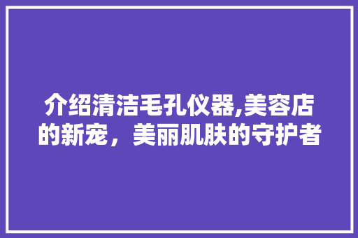 介绍清洁毛孔仪器,美容店的新宠，美丽肌肤的守护者 介绍清洁毛孔仪器,美容店的新宠，美丽肌肤的守护者 家居时尚