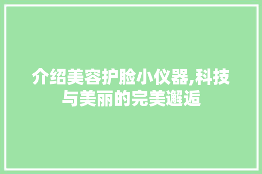 介绍美容护脸小仪器,科技与美丽的完美邂逅 介绍美容护脸小仪器,科技与美丽的完美邂逅 家居时尚