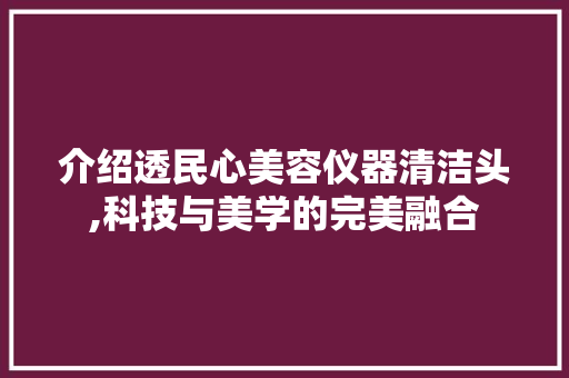 介绍透民心美容仪器清洁头,科技与美学的完美融合 介绍透民心美容仪器清洁头,科技与美学的完美融合 家居时尚