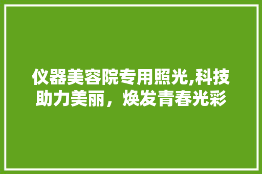 仪器美容院专用照光,科技助力美丽，焕发青春光彩 仪器美容院专用照光,科技助力美丽，焕发青春光彩 养生保健