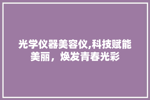 光学仪器美容仪,科技赋能美丽，焕发青春光彩 光学仪器美容仪,科技赋能美丽，焕发青春光彩 家居时尚