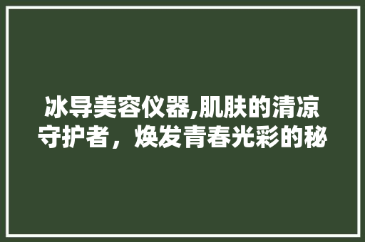 冰导美容仪器,肌肤的清凉守护者，焕发青春光彩的秘密武器 冰导美容仪器,肌肤的清凉守护者，焕发青春光彩的秘密武器 服饰装扮