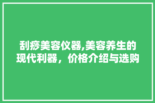 刮痧美容仪器,美容养生的现代利器，价格介绍与选购指南 刮痧美容仪器,美容养生的现代利器，价格介绍与选购指南 日用科普