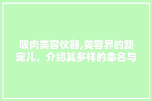 吸肉美容仪器,美容界的新宠儿，介绍其多样的命名与功效 吸肉美容仪器,美容界的新宠儿，介绍其多样的命名与功效 日用科普