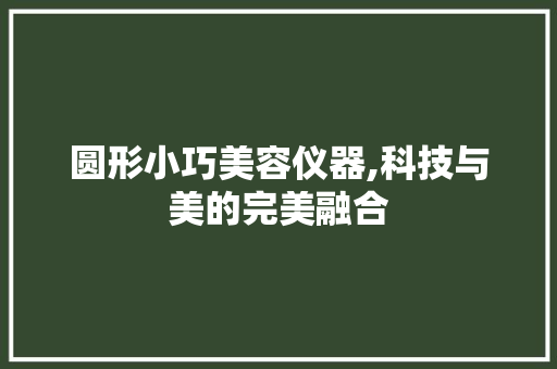圆形小巧美容仪器,科技与美的完美融合 圆形小巧美容仪器,科技与美的完美融合 旅行地理