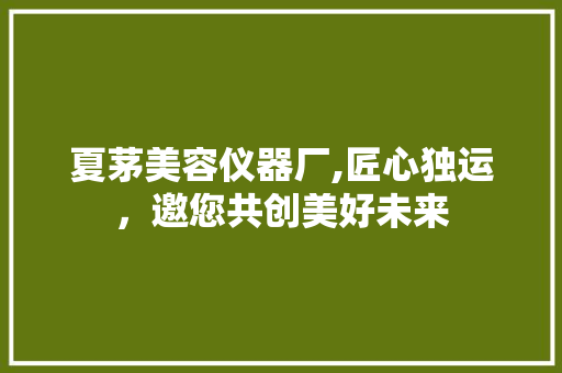 夏茅美容仪器厂,匠心独运，邀您共创美好未来 动手制作