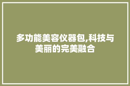 多功能美容仪器包,科技与美丽的完美融合 多功能美容仪器包,科技与美丽的完美融合 家居时尚