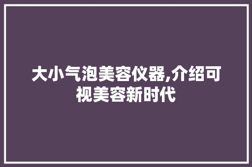 大小气泡美容仪器,介绍可视美容新时代 大小气泡美容仪器,介绍可视美容新时代 美容塑身