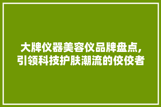 大牌仪器美容仪品牌盘点,引领科技护肤潮流的佼佼者 大牌仪器美容仪品牌盘点,引领科技护肤潮流的佼佼者 动手制作