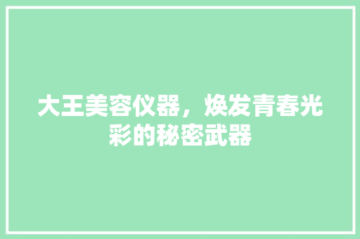 大王美容仪器，焕发青春光彩的秘密武器 大王美容仪器，焕发青春光彩的秘密武器 服饰装扮