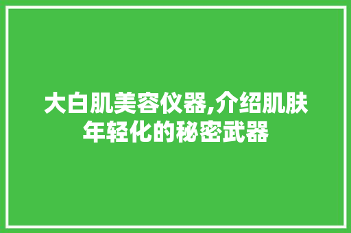 大白肌美容仪器,介绍肌肤年轻化的秘密武器 大白肌美容仪器,介绍肌肤年轻化的秘密武器 旅行地理