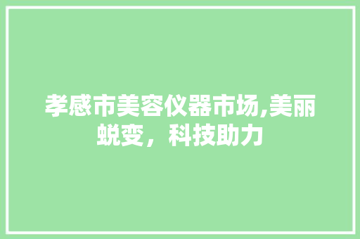孝感市美容仪器市场,美丽蜕变，科技助力 孝感市美容仪器市场,美丽蜕变，科技助力 家居时尚