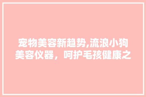 宠物美容新趋势,流浪小狗美容仪器，呵护毛孩健康之美 宠物美容新趋势,流浪小狗美容仪器，呵护毛孩健康之美 日用科普