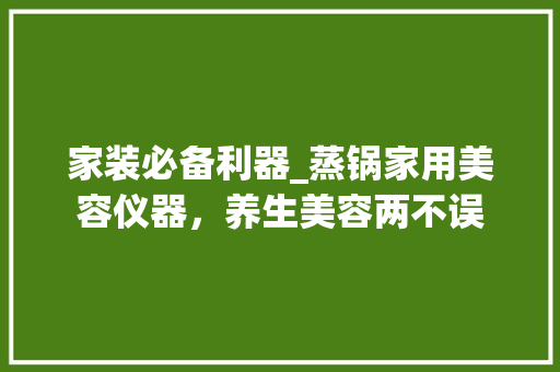 家装必备利器_蒸锅家用美容仪器，养生美容两不误 家装必备利器_蒸锅家用美容仪器，养生美容两不误 家居时尚